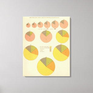 42 Populatie, elementen 1790-1900 Canvas Afdruk