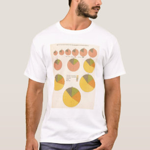 42 Populatie, elementen 1790-1900 T-shirt