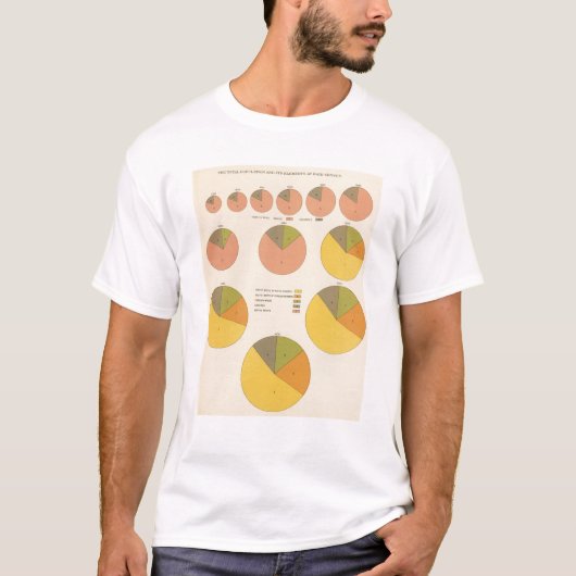 42 Populatie, elementen 1790-1900 T-shirt (Voorkant)