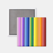 42 Strepen Rainbow Spectrum Magneet (Voorkant / Achterkant)