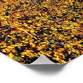 42 X 28 LAKE JUNALUSKA PREMIUM CANVAS GLOSS POSTER (Hoek)