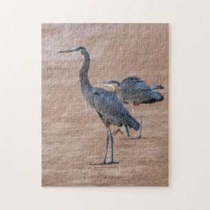 4415 - Twee grote blauwe reigers op Shore Puzzel
