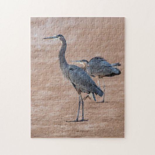 4415 - Twee grote blauwe reigers op Shore Puzzel Legpuzzel (Verticaal)