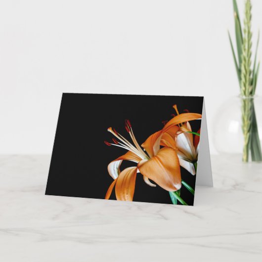 4464 - Close-up van Oranje lelies Bedankkaart (Voorkant)