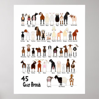 45 Breds of goats chart Poster