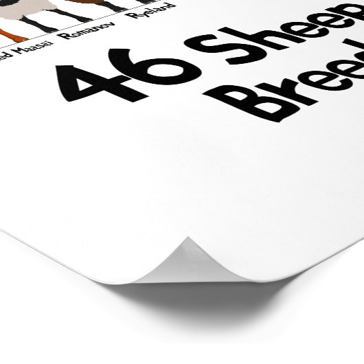 46 breeds of sheep poster (Hoek)