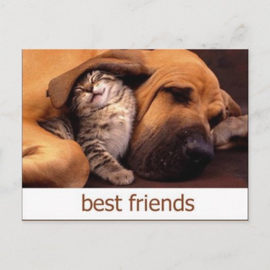 46 BRIEFKAART (Voorkant)