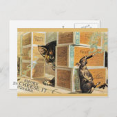 46 huisdieren briefkaart (Voorkant / Achterkant)