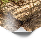 4745-Schaduwbomen in de woestijn Foto Afdruk (Hoek)