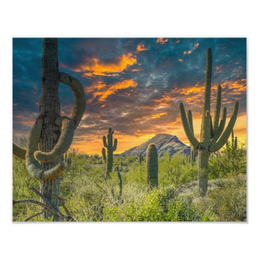 4792-2-woestijnlandschap bij zonsondergang foto afdruk (Voorkant)