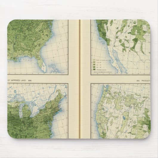 47 corn. 1890 muismat (Voorkant)