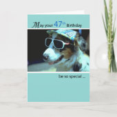 47th Birthday Dog in Funny Sunbril Kaart (Voorkant)