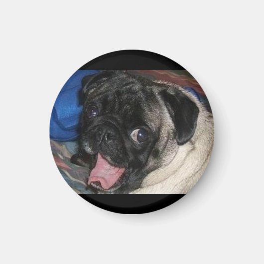 483814433_L MAGNEET (Voorkant)