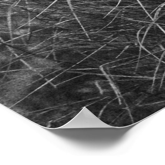 48 Chrysler Poster (Hoek)