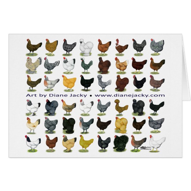 48-Hen Promo (Voorkant Horizontaal)