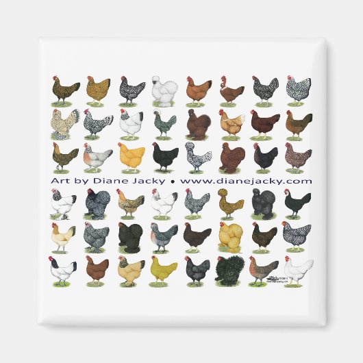 48-Hen Promo Magneet (Voorkant)