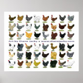 48-Hen Promo Poster (Voorkant)