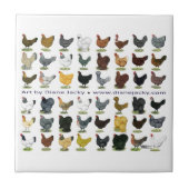 48-Hen Promo Tegeltje (Voorkant)