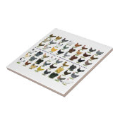 48-Hen Promo Tegeltje (Zijkant)