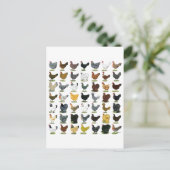 49 Kippen Briefkaart (Staand voorkant)