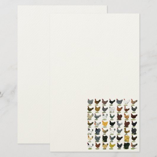 49 kippen briefpapier (Voorkant / Achterkant)