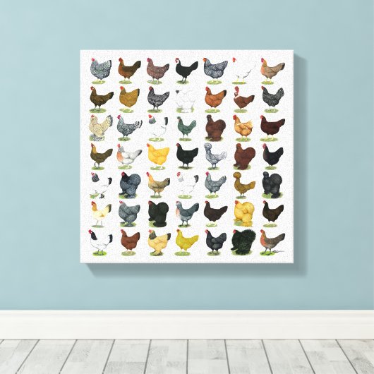 49 kippen canvas afdruk (Insitu (Houten vloer))