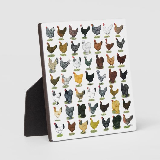 49 Kippen Hennen Fotoplaat (Voorkant)