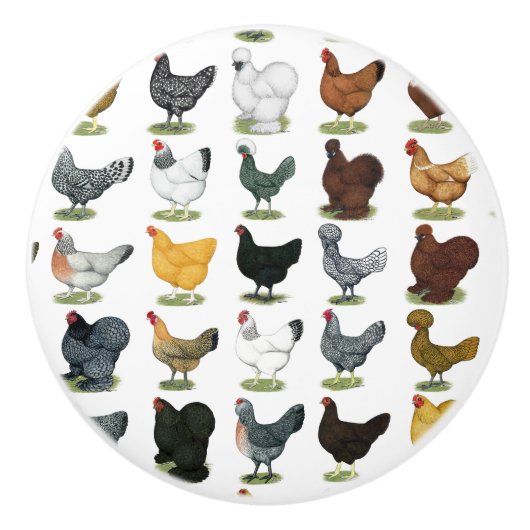 49 Kippen Keramische Knop (Voorkant)