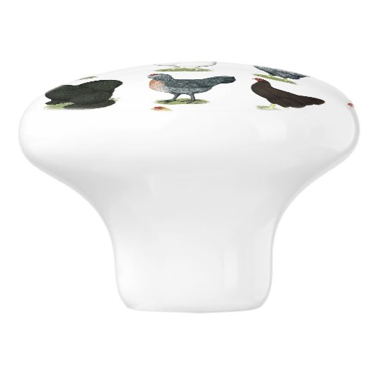 49 Kippen Keramische Knop (Zijkant)