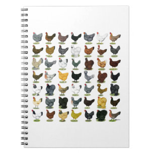 49 Kippen Notitieboek