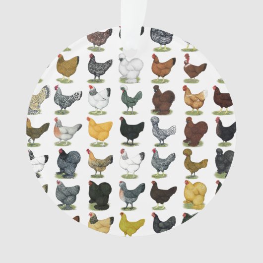 49 Kippen Ornament (voorkant)