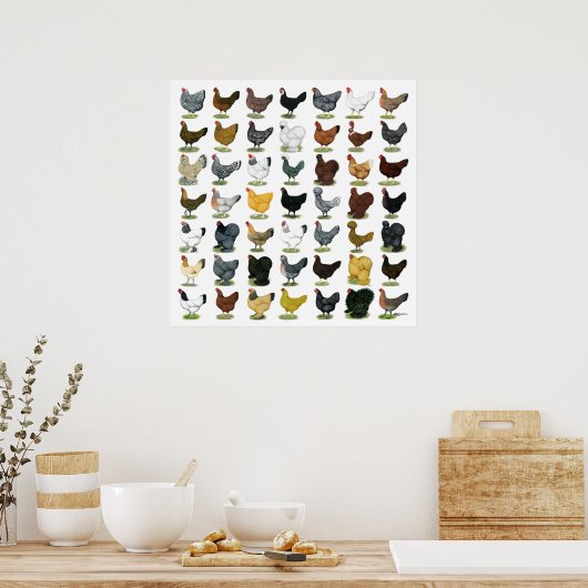 49 kippen poster (Keuken)
