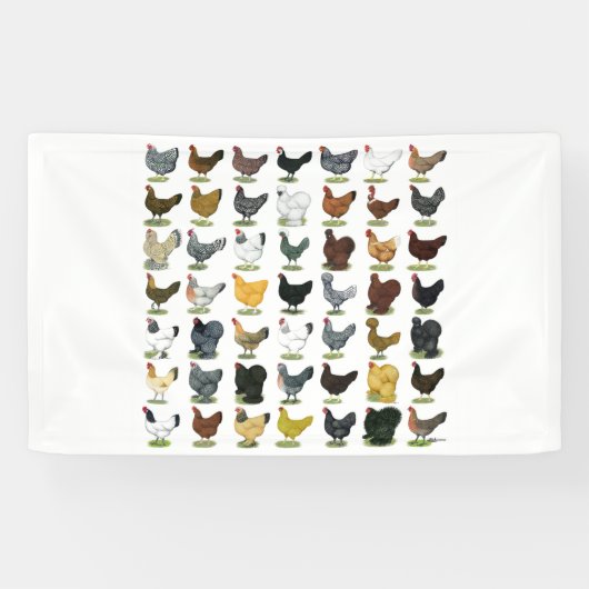 49 kippen spandoek (Horizontaal)