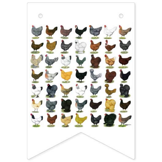 49 kippen vlaggetjes (Tweede vlag)