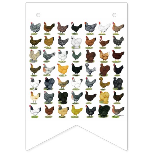 49 kippen vlaggetjes (Eerste vlag)