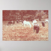 49 quater poster (Voorkant)