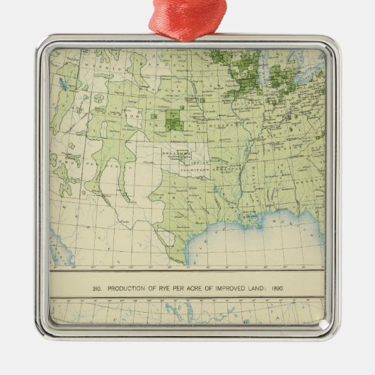 49 Rogge 1890 Metalen Ornament (Voorkant)