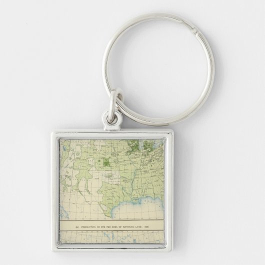 49 Rogge 1890 Sleutelhanger (Voorkant)