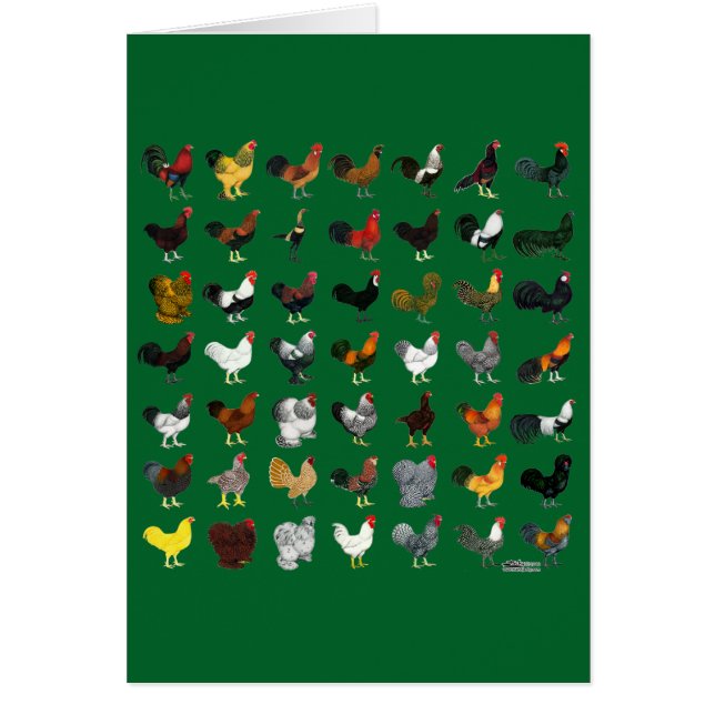 49 Roosters (Voorkant)