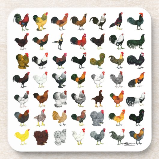 49 Roosters Bier Onderzetter (Voorkant)