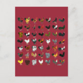 49 Roosters Briefkaart (Voorkant)