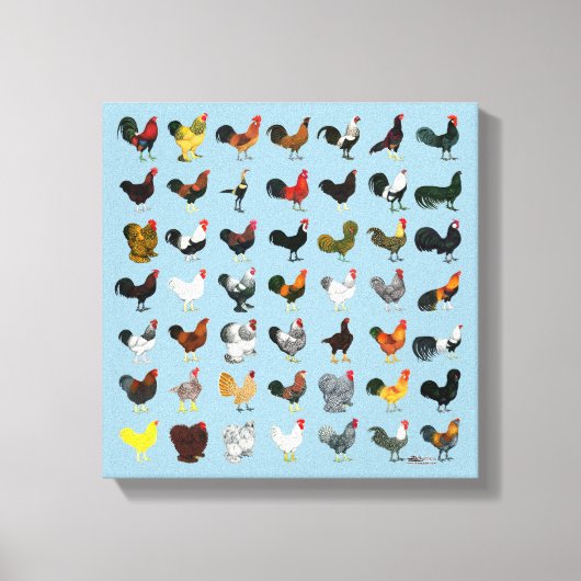 49 Roosters Canvas Afdruk (Voorkant)
