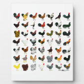 49 Roosters Fotoplaat (Voorkant)