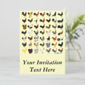 49 Roosters Kaart (Staand voorkant)