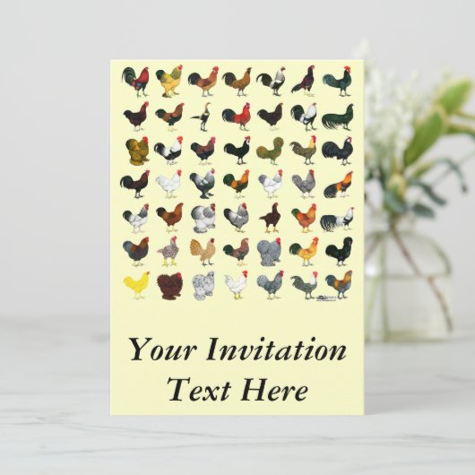 49 Roosters Kaart (Staand voorkant)