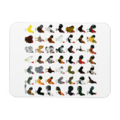 49 Roosters Magneet (Horizontaal)