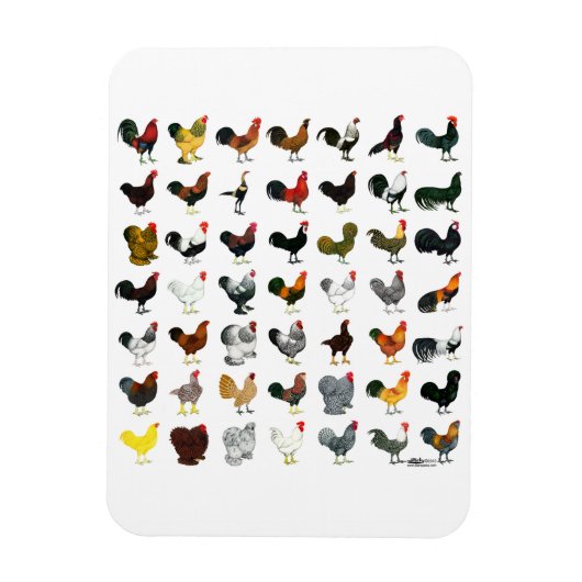 49 Roosters Magneet (Verticaal)