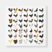 49 Roosters Magneet (Voorkant)