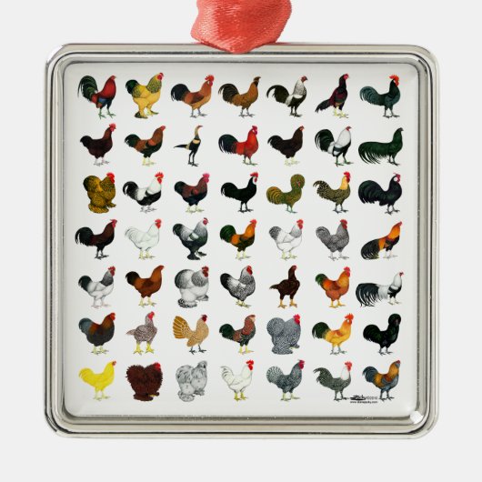 49 Roosters Metalen Ornament (Voorkant)