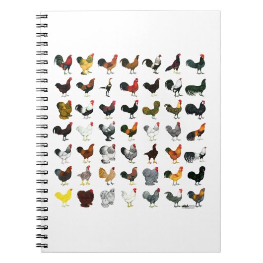 49 Roosters Notitieboek (Voorkant)